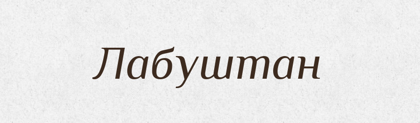 Лабуштан — Великий тлумачний словник сучасної української мови