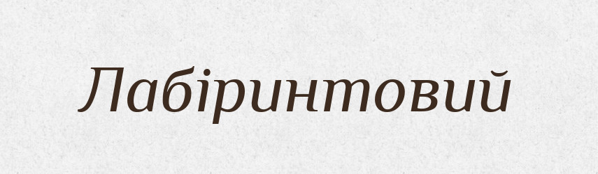 Лабіринтовий — Великий тлумачний словник сучасної української мови