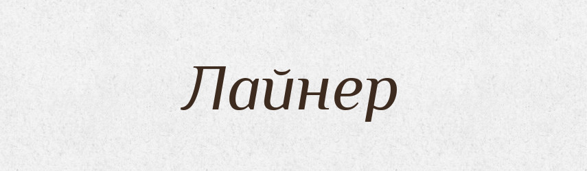 Лайнер — Великий тлумачний словник сучасної української мови