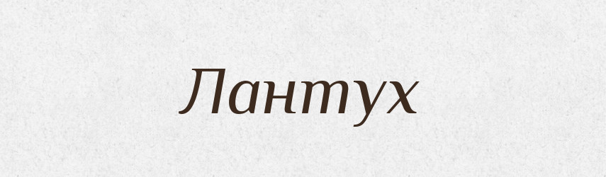 Лантух — Великий тлумачний словник сучасної української мови