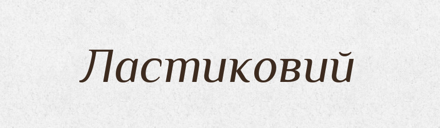 Ластиковий — Великий тлумачний словник сучасної української мови