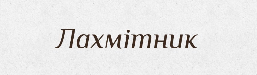 Лахмітник — Великий тлумачний словник сучасної української мови