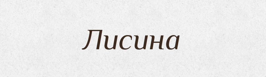 Лисина — Великий тлумачний словник сучасної української мови