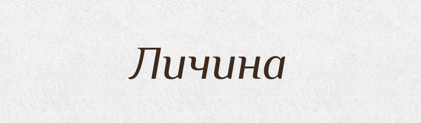 Личина — Великий тлумачний словник сучасної української мови