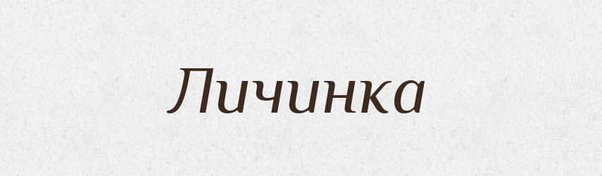 Личинка — Великий тлумачний словник сучасної української мови