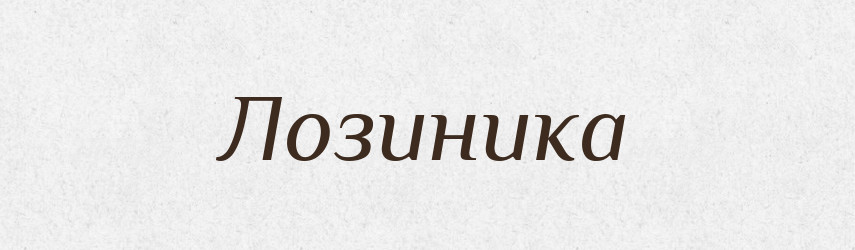 Лозиника — Великий тлумачний словник сучасної української мови