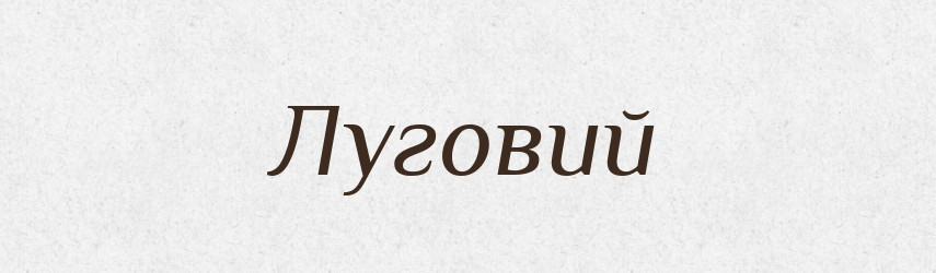Луговий — Великий тлумачний словник сучасної української мови