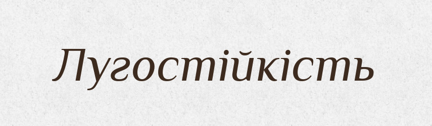Лугостійкість — Великий тлумачний словник сучасної української мови