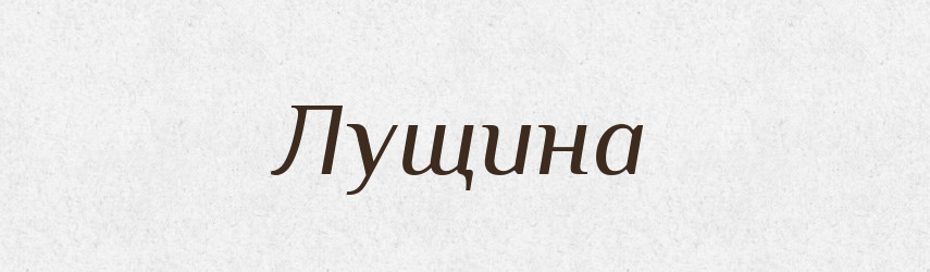 Лущина — Великий тлумачний словник сучасної української мови