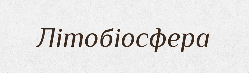 Літобіосфера — Великий тлумачний словник сучасної української мови