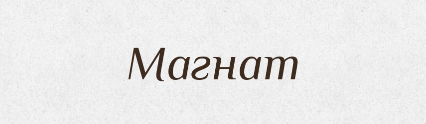 Магнат — Великий тлумачний словник сучасної української мови