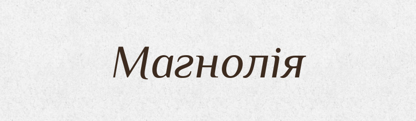 Магнолія — Великий тлумачний словник сучасної української мови