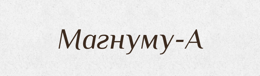 Магнуму-А — Великий тлумачний словник сучасної української мови