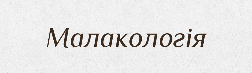 Малакологія — Великий тлумачний словник сучасної української мови