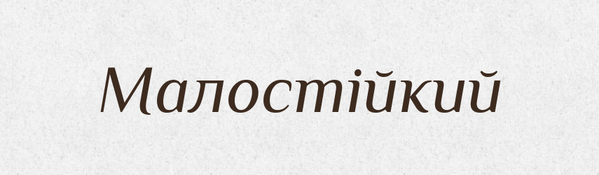Малостійкий — Великий тлумачний словник сучасної української мови