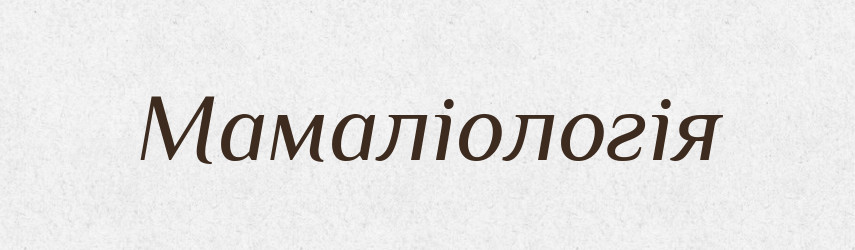 Мамаліологія — Великий тлумачний словник сучасної української мови