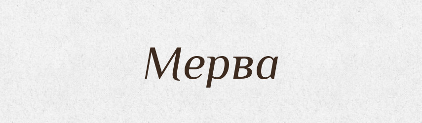 Мерва — Великий тлумачний словник сучасної української мови