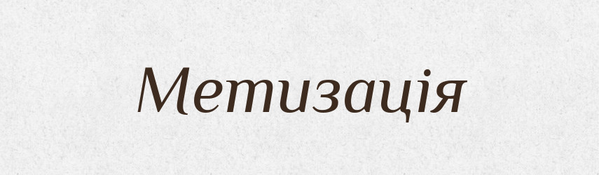 Метизація — Великий тлумачний словник сучасної української мови
