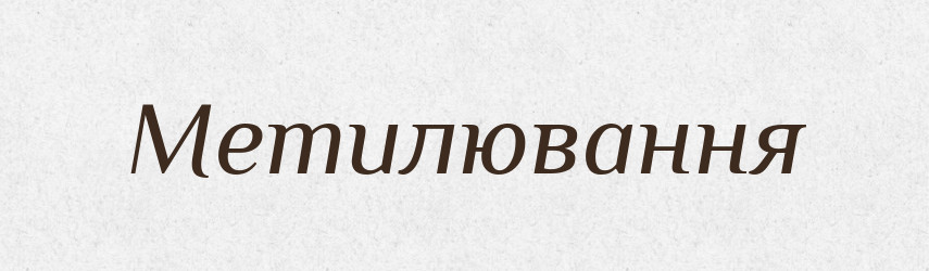 Метилювання — Великий тлумачний словник сучасної української мови
