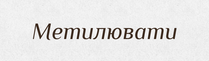 Метилювати — Великий тлумачний словник сучасної української мови