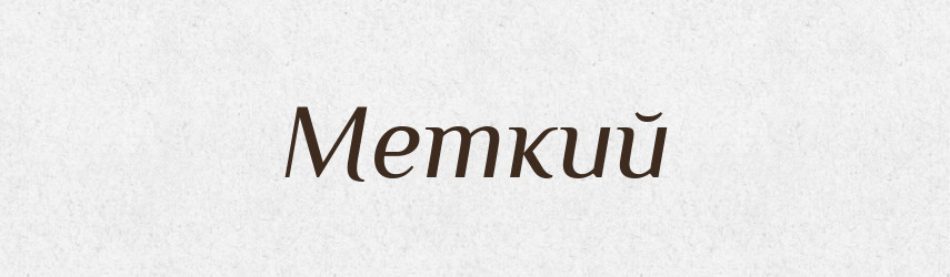 Меткий — Великий тлумачний словник сучасної української мови