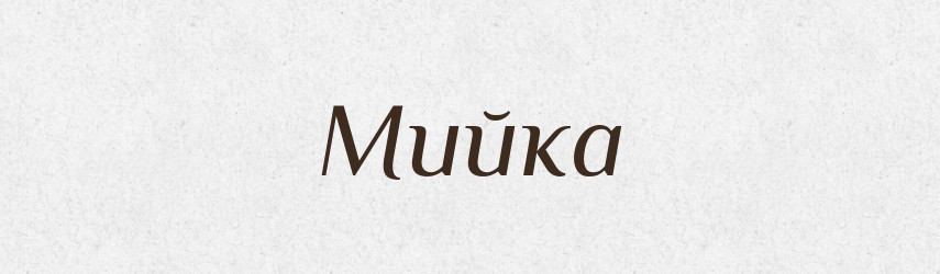 Мийка — Великий тлумачний словник сучасної української мови