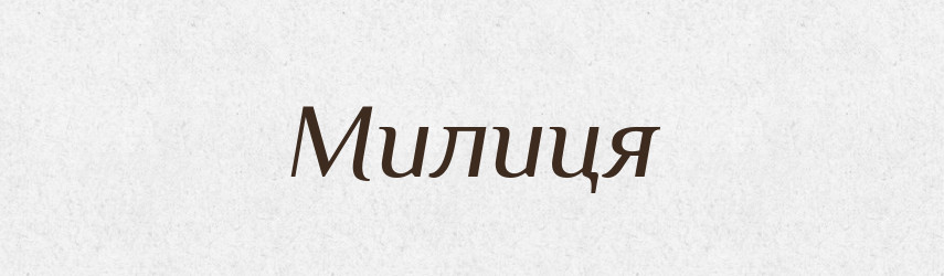 Милиця — Великий тлумачний словник сучасної української мови