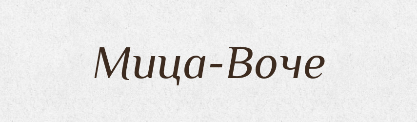 Мица-Воче — Великий тлумачний словник сучасної української мови