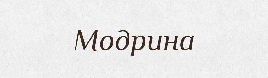 Модрина — Великий тлумачний словник сучасної української мови