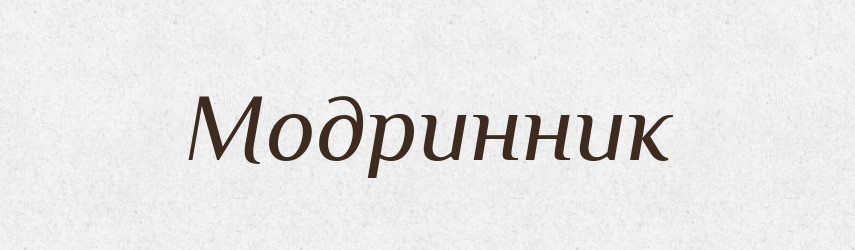 Модринник — Великий тлумачний словник сучасної української мови