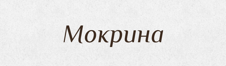Мокрина — Великий тлумачний словник сучасної української мови