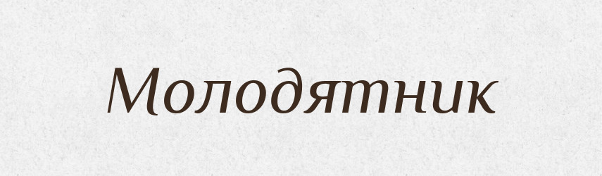 Молодятник — Великий тлумачний словник сучасної української мови