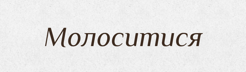 Молоситися — Великий тлумачний словник сучасної української мови