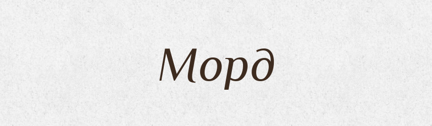 Морд — Великий тлумачний словник сучасної української мови