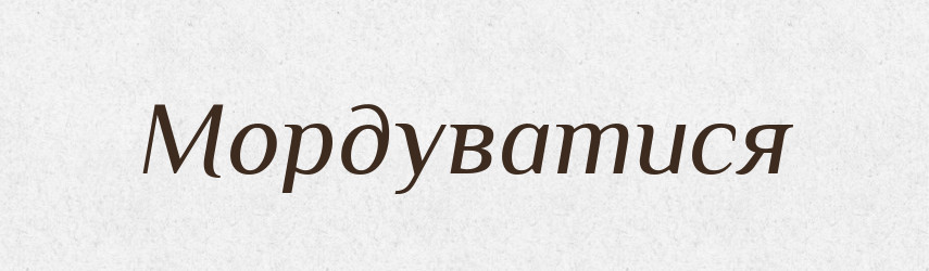 Мордуватися — Великий тлумачний словник сучасної української мови