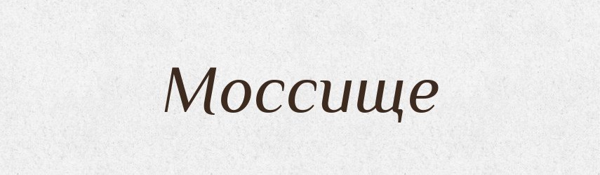 Моссище — Великий тлумачний словник сучасної української мови