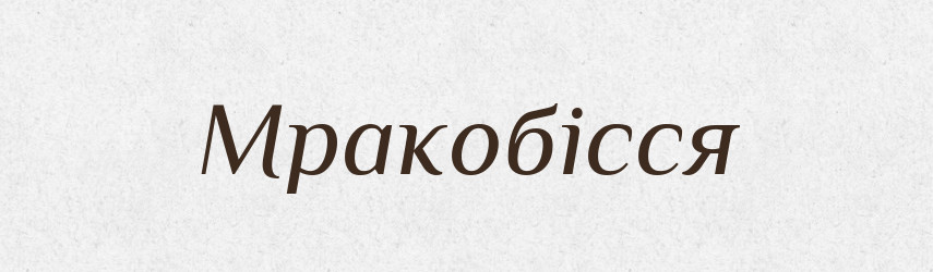 Мракобісся — Великий тлумачний словник сучасної української мови