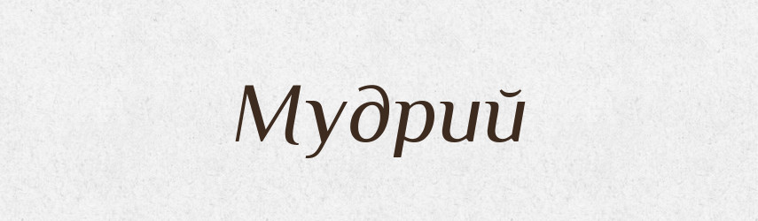 Мудрий — Великий тлумачний словник сучасної української мови