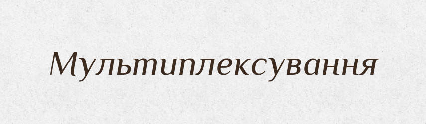Мультиплексування — Великий тлумачний словник сучасної української мови