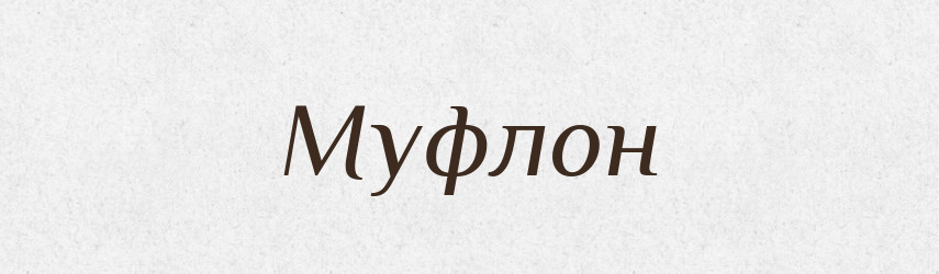 Муфлон — Великий тлумачний словник сучасної української мови