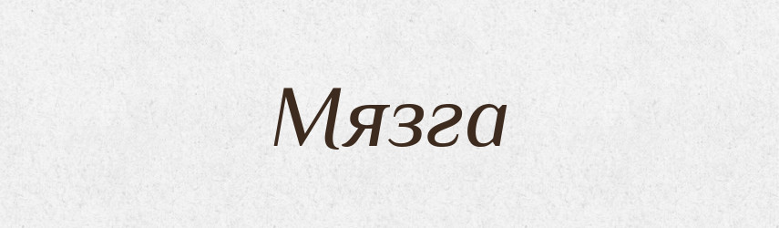 Мязга — Великий тлумачний словник сучасної української мови