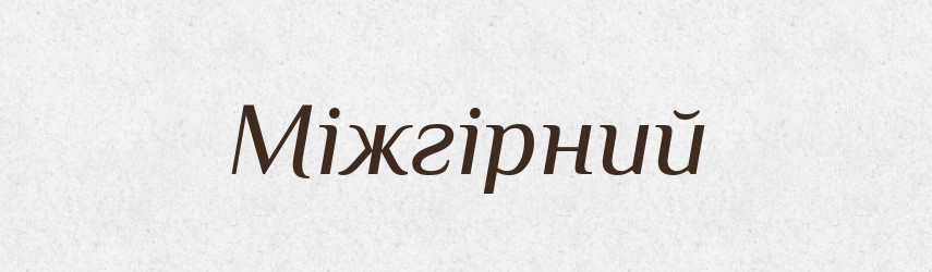 Міжгірний — Великий тлумачний словник сучасної української мови