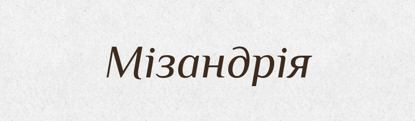 Мізандрія — Великий тлумачний словник сучасної української мови