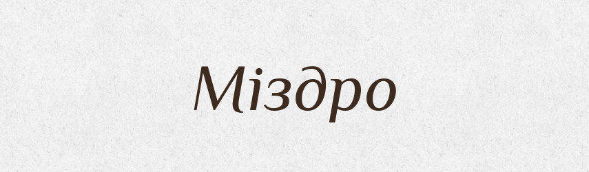 Міздро — Великий тлумачний словник сучасної української мови