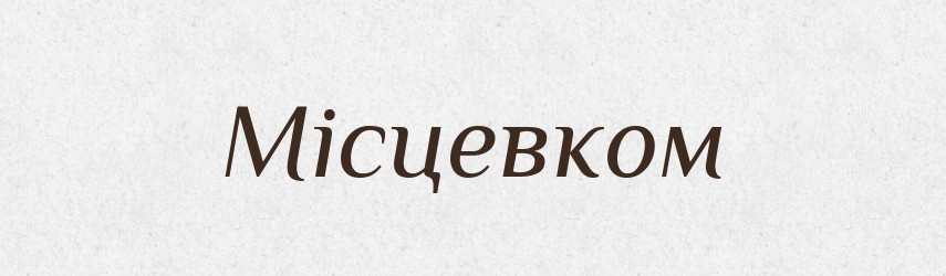 Місцевком — Великий тлумачний словник сучасної української мови
