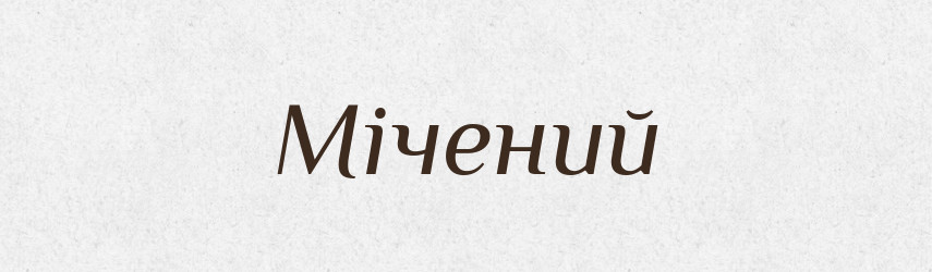Мічений — Великий тлумачний словник сучасної української мови