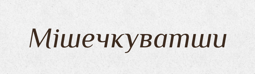 Мішечкуватши — Великий тлумачний словник сучасної української мови