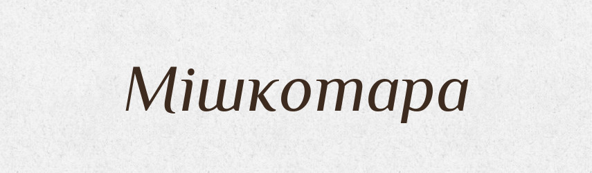 Мішкотара — Великий тлумачний словник сучасної української мови