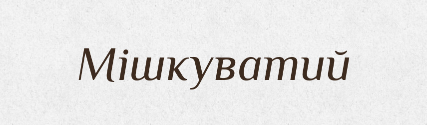 Мішкуватий — Великий тлумачний словник сучасної української мови