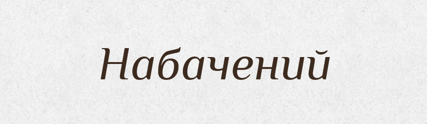 Набачений — Великий тлумачний словник сучасної української мови
